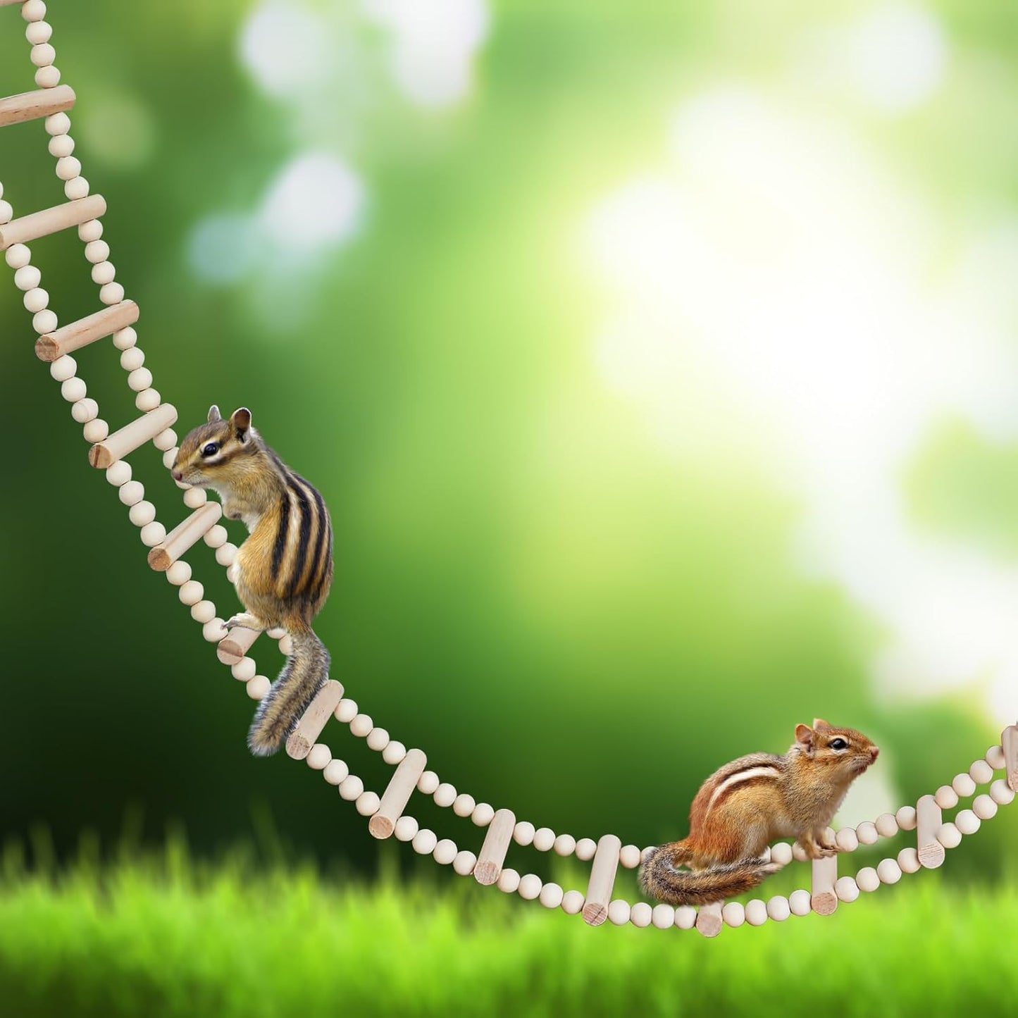 Long Bird Ladder with Wooden Rungs and Beads, Parakeet Climbing Swing Toys, Bird Cage Accessories, Wooden Climbing Bridge Toys for Parrots, Rat, Sugar Gliders, Squirrels, Snakes