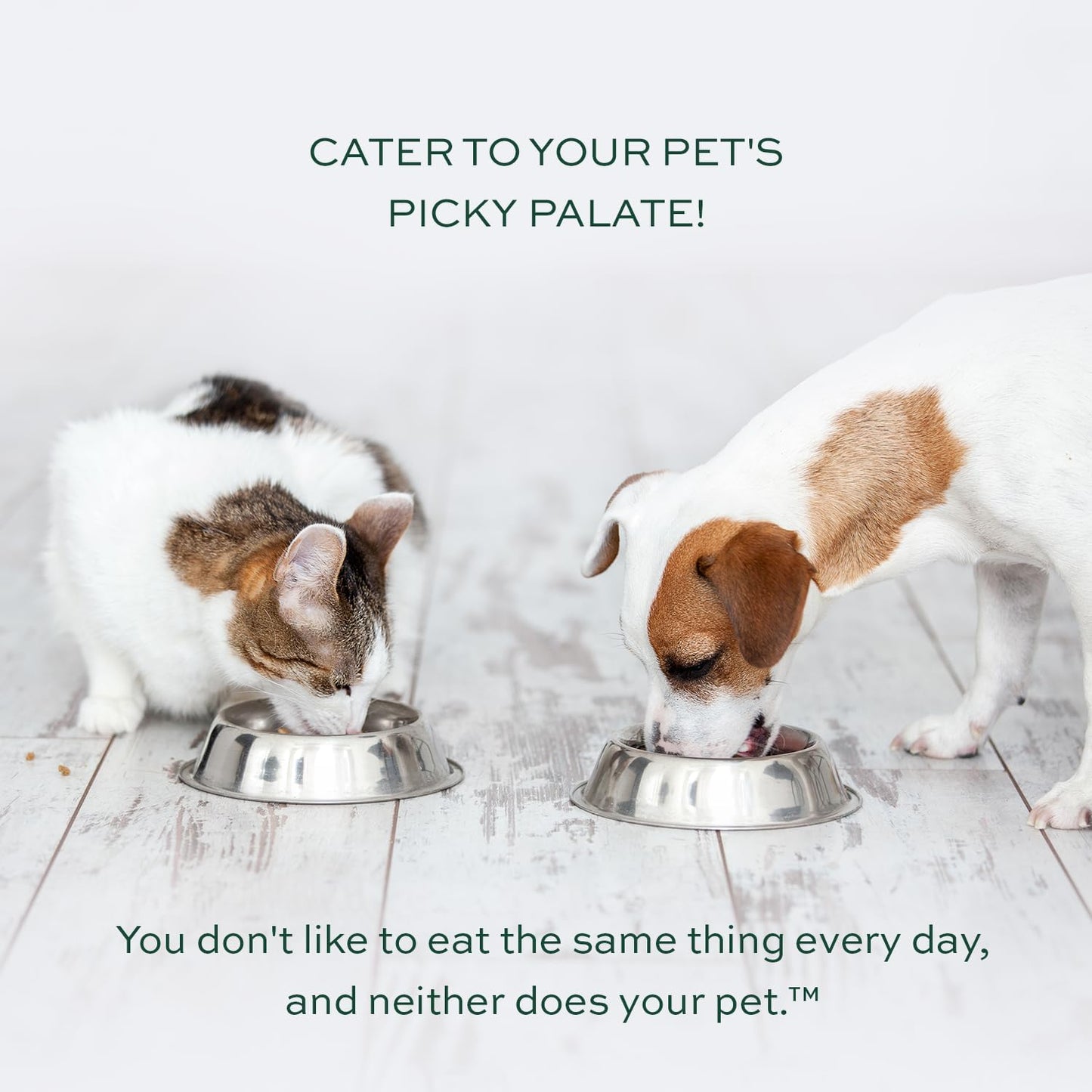 pawTree Healthy Food Toppers for Dogs & Cats - Appetite Booster with Freeze-Dried Proteins. Delicious Pet Food Seasonings and Flavor Enhancer for Picky Eaters & Appetite Stimulation (Chicken Medley)