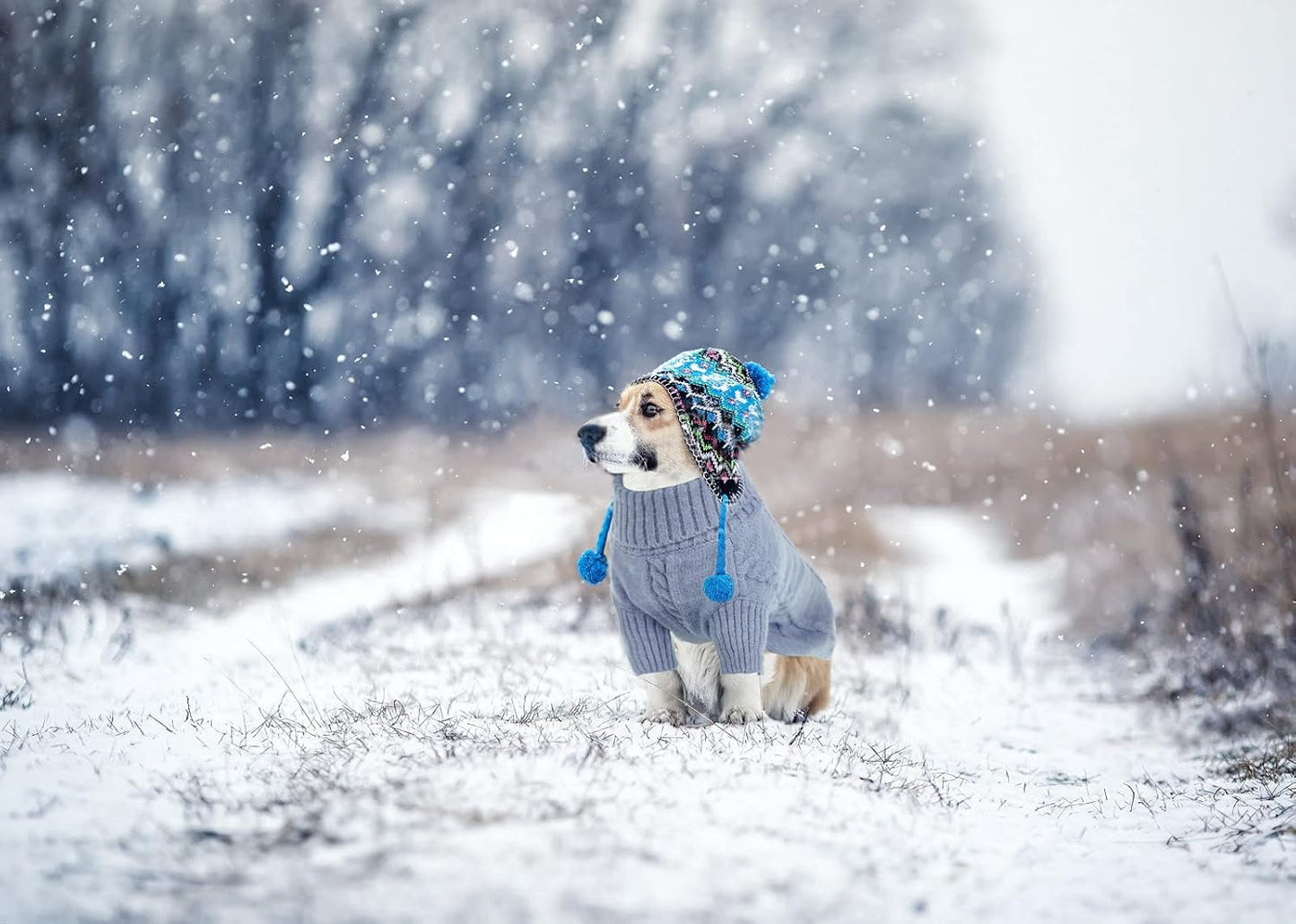 Queenmore Extra Large Warm Turtleneck Knitted Big Dog Sweaters for Male and Female Dogs (Grey,2XL)