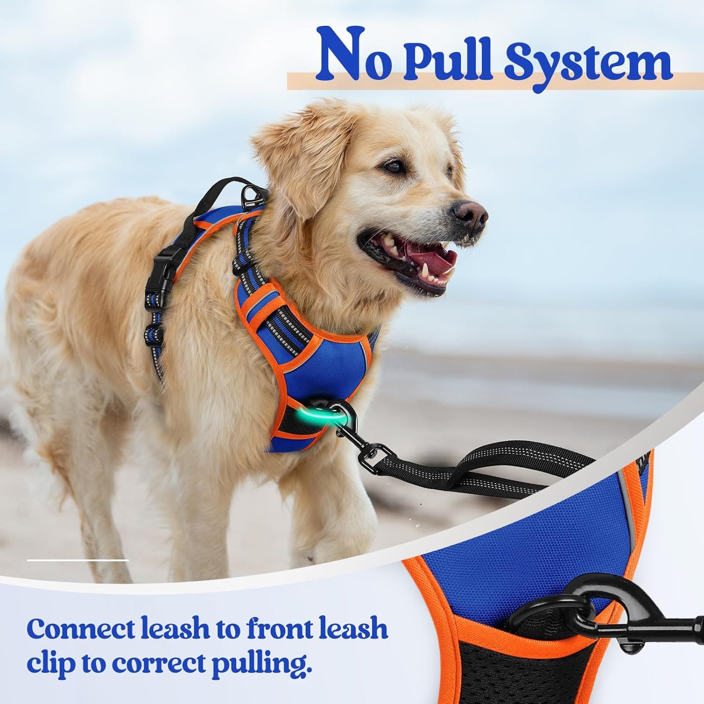 rabbitgoo Dog Harness No Pull with 2 Leash Clips, Adjustable Soft Padded, Reflective Oxford No Choke Pet Vest with Easy Control Handle for Large Dogs, Blue & Orange, XL