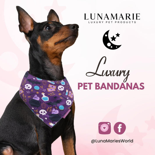 LunaMarie - Luxury Pet Birthday Bandanas -Premium & Silky Poly Fabric | 100% Handmade | Custom Shape Dual Layered (Bewitched, Small)