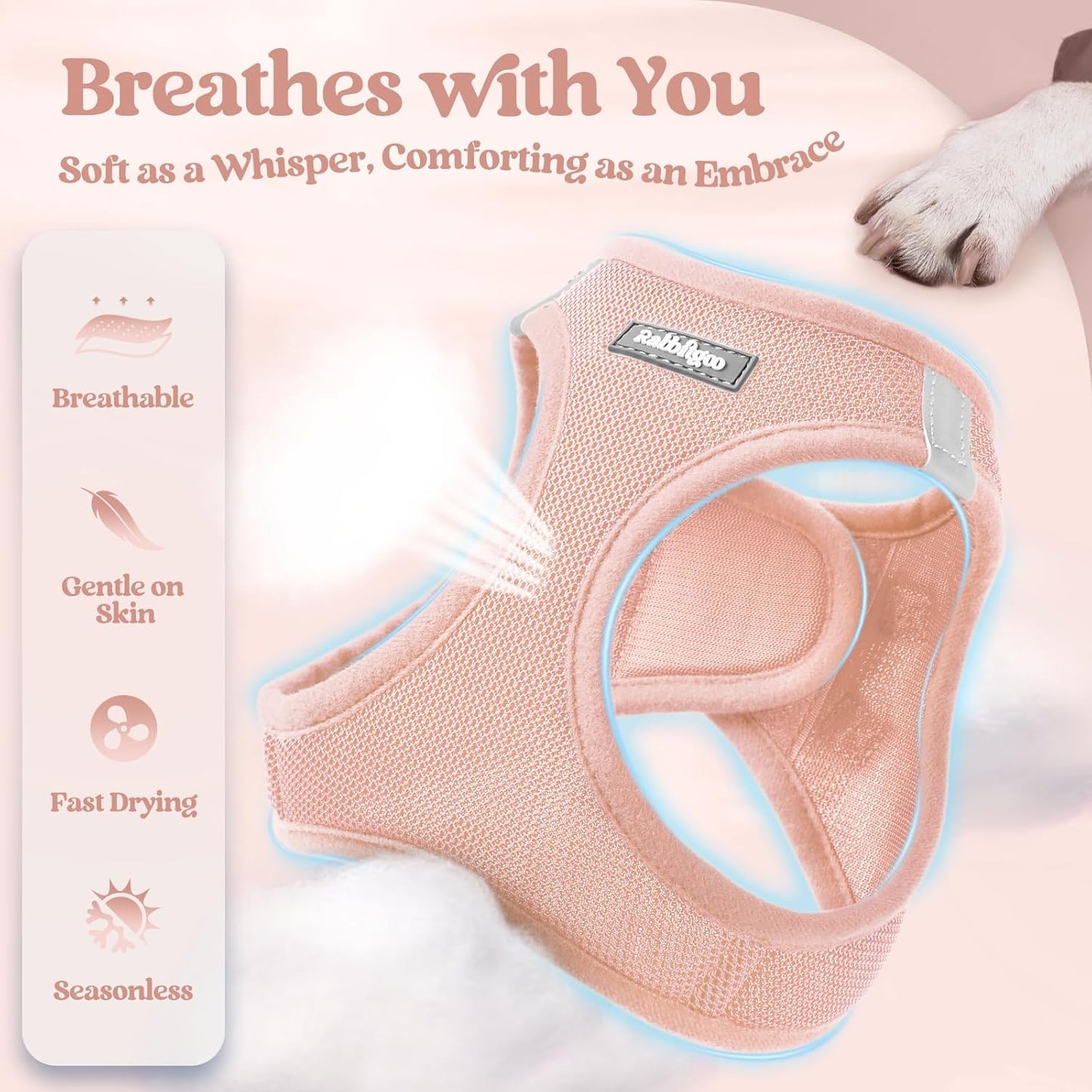 rabbitgoo Dog Harness Small Sized and Leash Set, Step in Soft Light Puppy Vest, Breathable Mesh Pet Harness, Reflective for Safe Outdoor Walking, Pink XXS