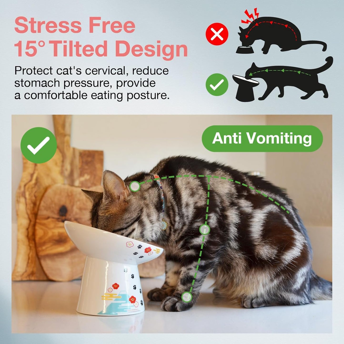 Necoichi Extra Wide Raised Cat Food Bowl, Elevated, Prevent Neck & Whisker Fatigue, Dishwasher and Microwave Safe, No.1 Seller in Japan! (Fuji, Extra Wide Tilted)