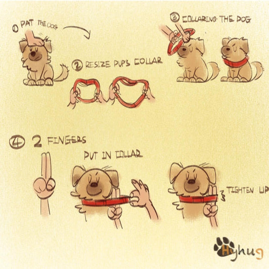 Heavy Duty Anti-Escape Martingale Collar Dog for Large Breeds Dogs - Walking Training Daily Use.(Large,Black)