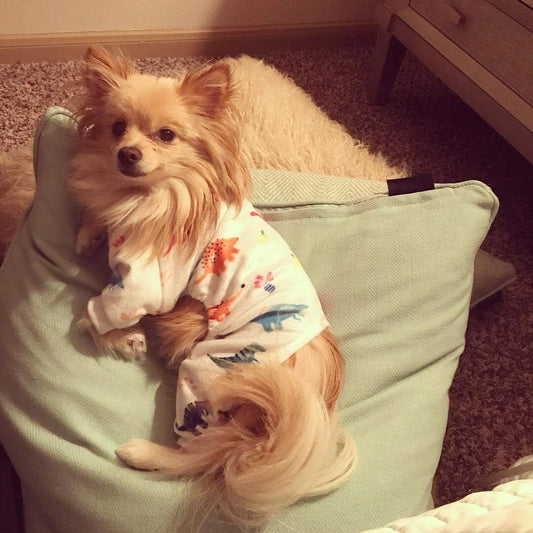 CuteBone Dog Halloween Pajamas Puppy Onesies Small Dogs Soft Pjs Coat Cat Apparel Comfy Pet Christmas Clothes Outfit Doggie Bodysuit P01XXL