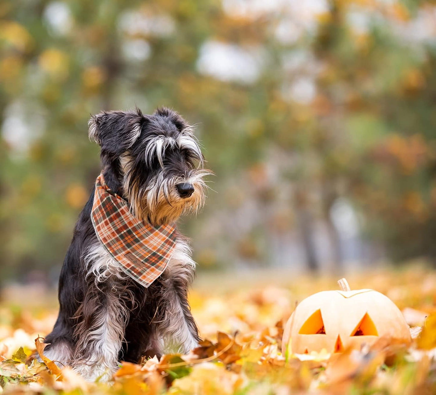 Lionet Plaid Dog Bandana 1PC - Pet Fall Washable Reversible Cotton Scarf, Adjustable Square Kerchief for Small to Large Dogs