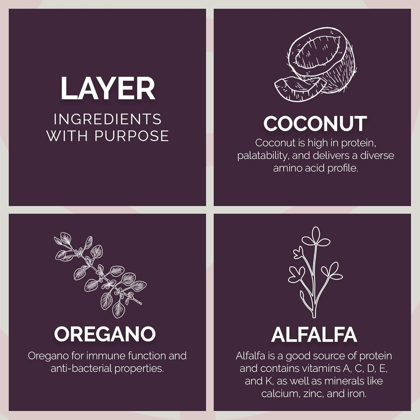 Layer Crumb Feed, 25lbs - Non-GMO, High-Protein Poultry Feed for Healthy Hens & Nutritious Eggs, 17.5% Protein - USDA Certified Organic Blend, Soy & Corn-Free