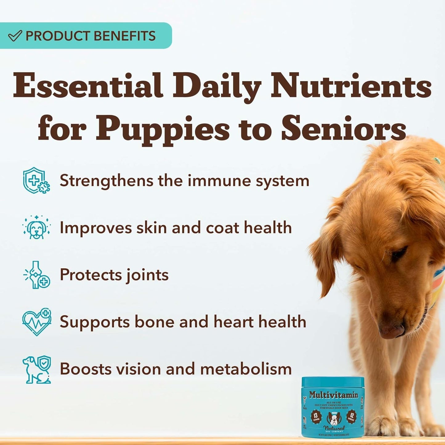 Natural Dog Company 25-in-1 Multivitamin Chews for Dogs – Daily Soft Dog Vitamins with Antioxidants, Zinc & Folic Acid – Supports Joints, Skin & Coat, Immune & Heart Health – All Ages, All Breeds