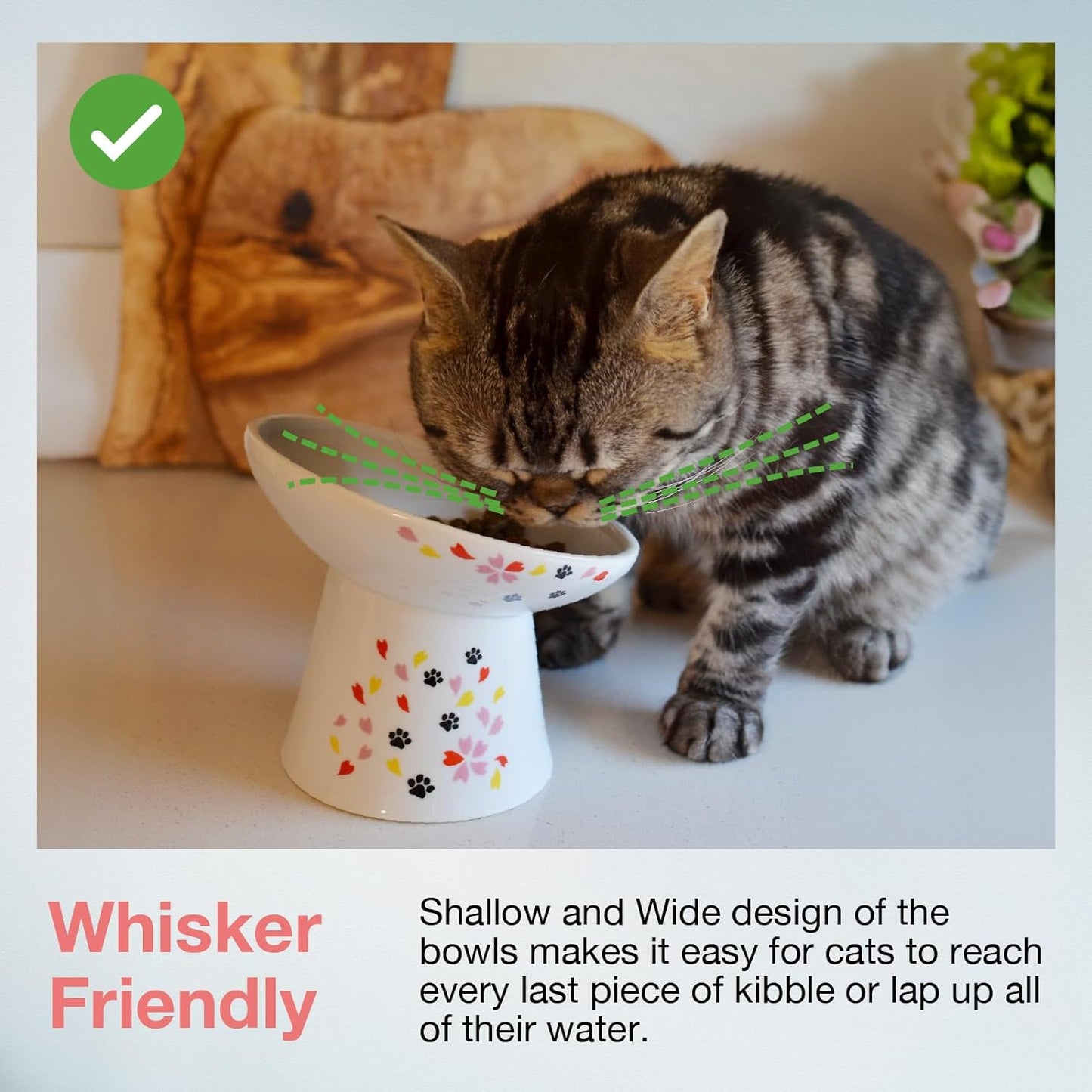 Necoichi Extra Wide Raised Cat Food Bowl, Elevated Cat Bowls to Prevent Neck & Whisker Fatigue, Dishwasher and Microwave Safe, No.1 Seller in Japan! (Sakura Limited Edition, Extra Wide Tilted)