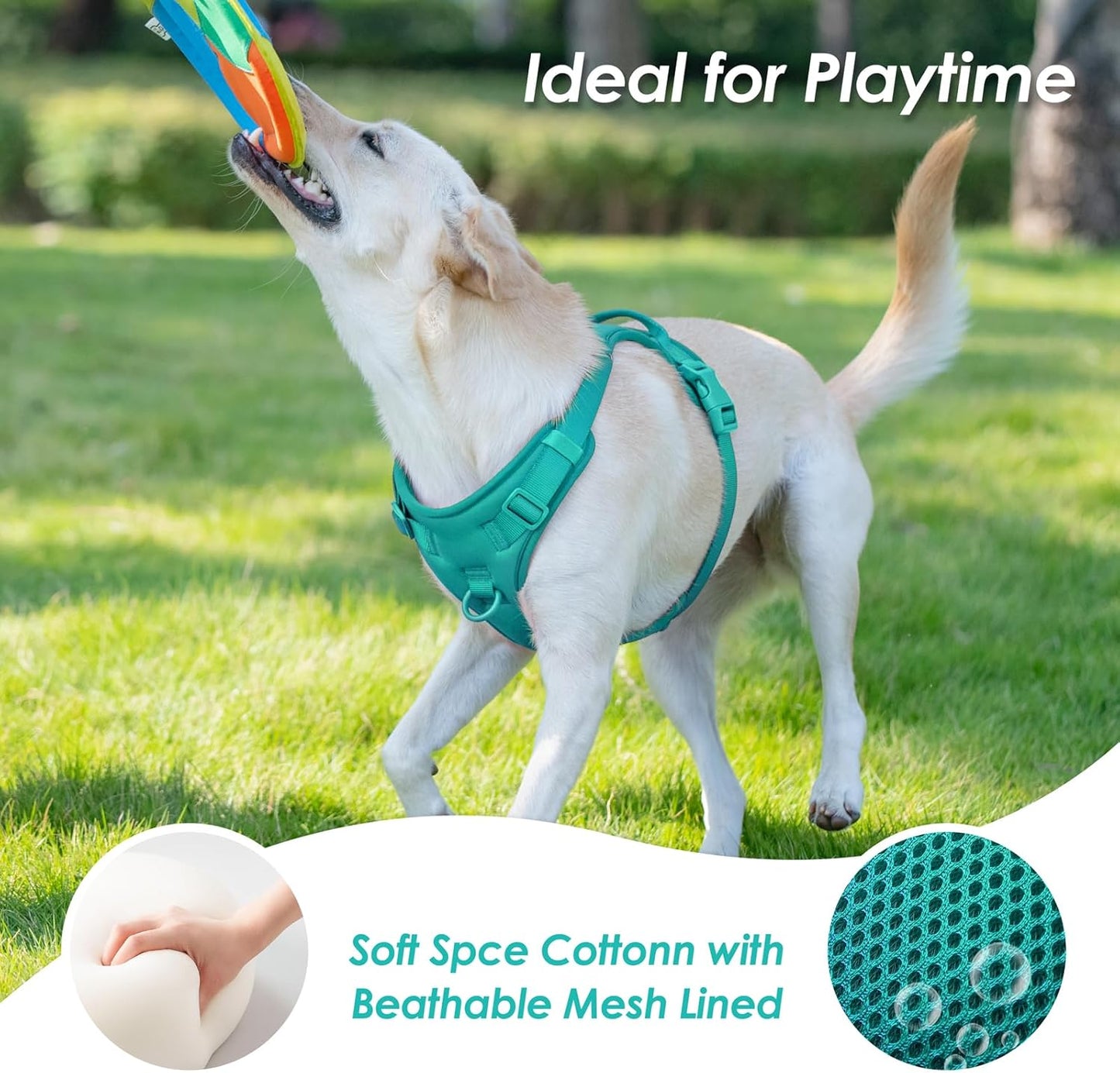 No Pull Dog Harness, Puppy Vest with Front Clip for Small Medium Large Sized Dog(MARRS Green,L)