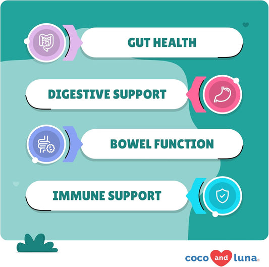 Probiotics for Dogs - 120 Chewable Tablets - Diarrhea & Gas Support - with Honey Pumpkin and Prebiotics for Dog Allergies, Bad Breath & Constipation Support