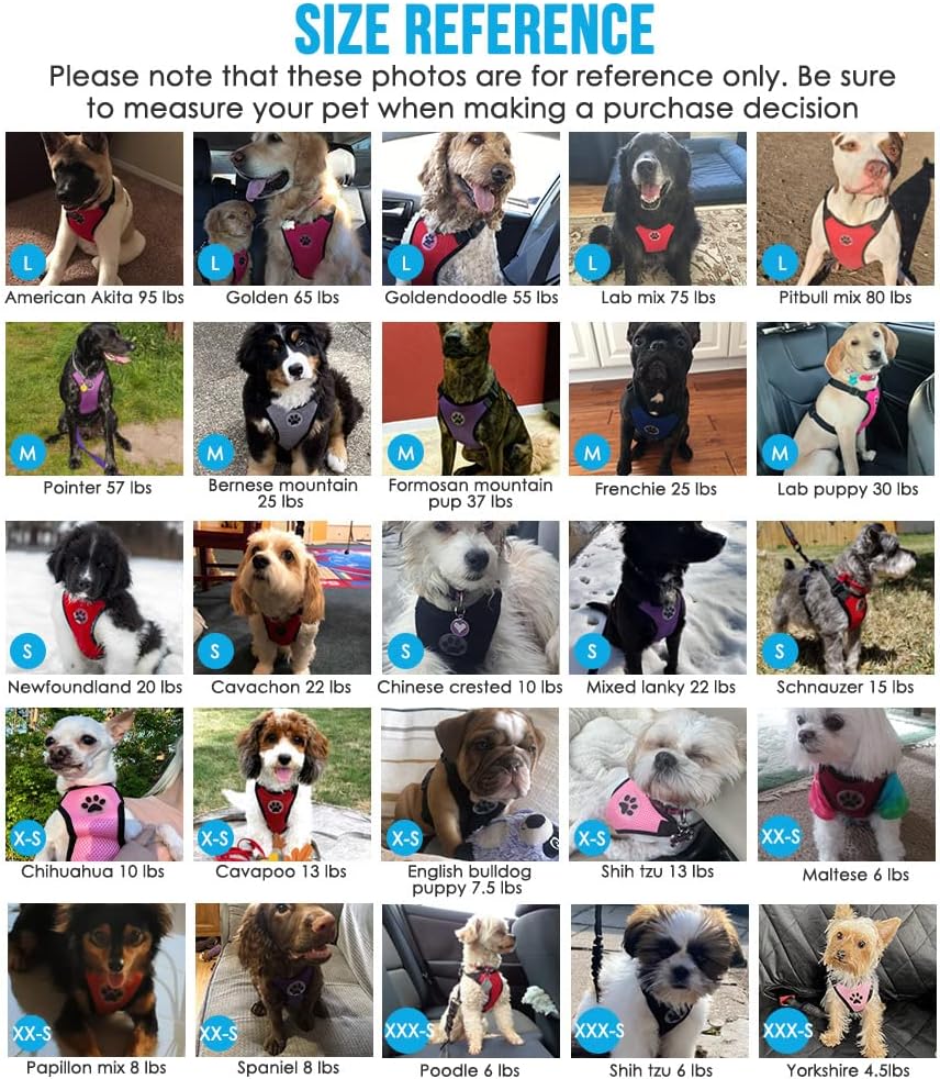 Lukovee Dog Seat Belt for Car, Adjustable Dog Car Harness for Large Medium Small Dogs, Soft Padded & Breathable Mesh Dog Seatbelt with Car Vehicle Connector Strap (Orange,Large)