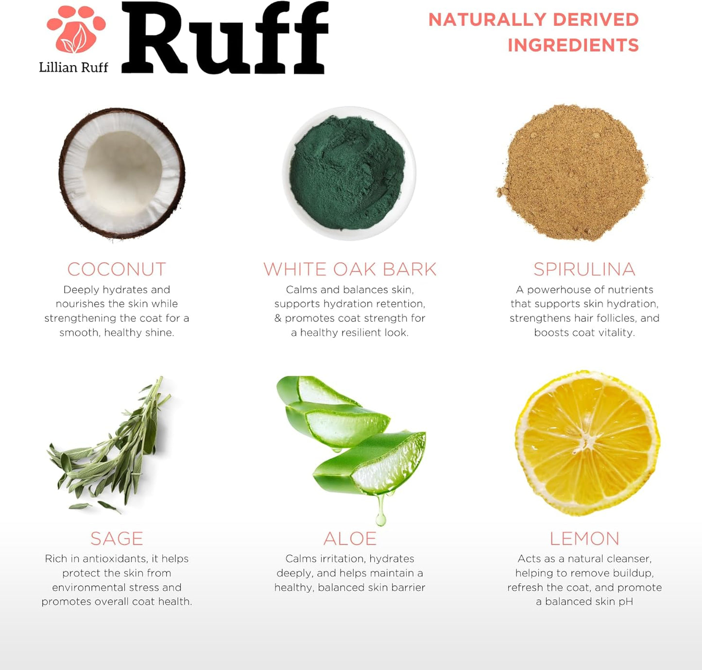 Ruff by Lillian Ruff No-Rinse Waterless Dog Shampoo Spray – Sandalwood Amber – Cleans, Conditions, Detangles & Deodorizes – Puppy & Cat Safe – USA Made (Gallon)