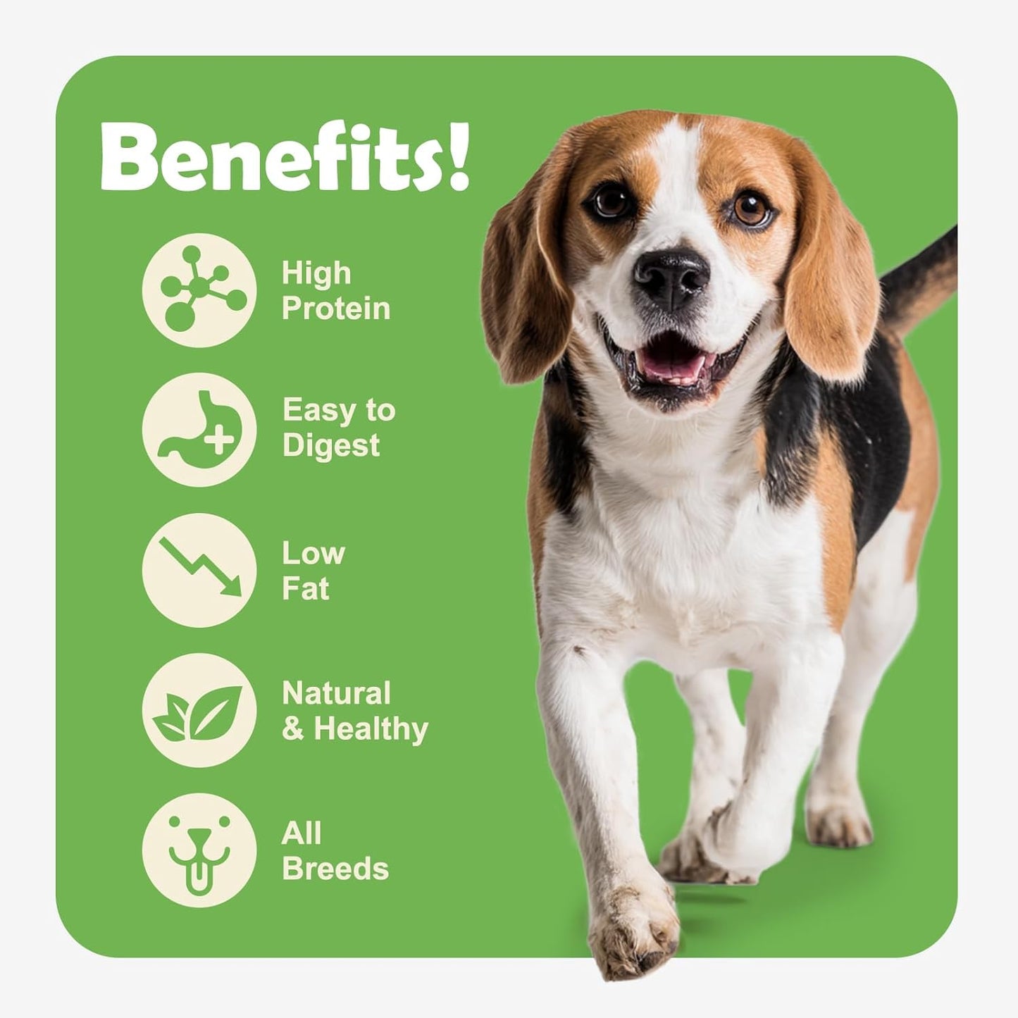 MON2SUN Dog Treats Chicken Jerky, Single-Ingredient, Rawhide-Free, High Protein, Low Fat, Training Treats for Small to Large Dogs, 21.2 oz