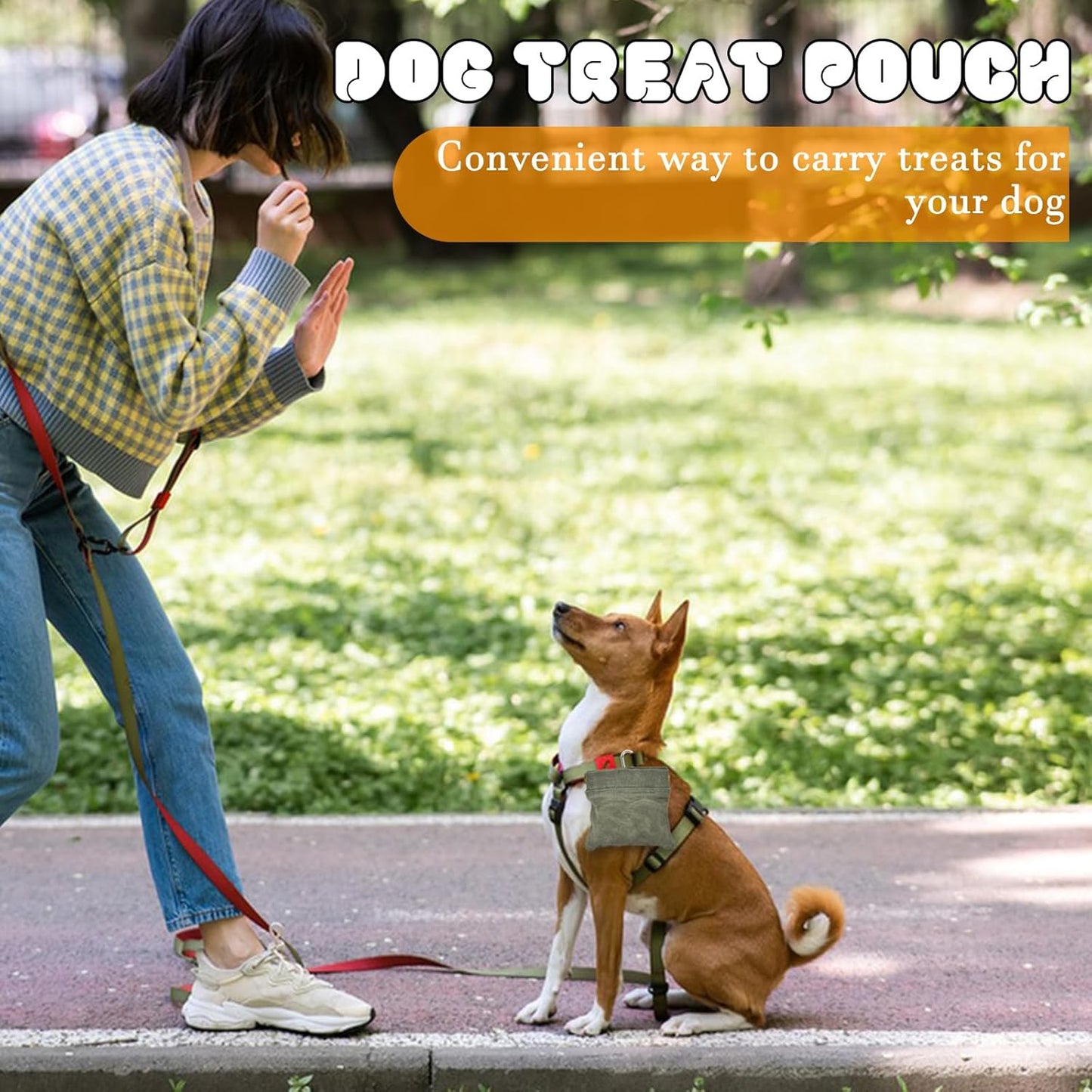 CONLI Dog Treat Pouch Portable Treat Pouches for Pet Training, Dog Training Treat Pouch with Carabiner, Auto Closing Pet Feed Snack Reward Pocket for Pet Travel or Outdoor Use
