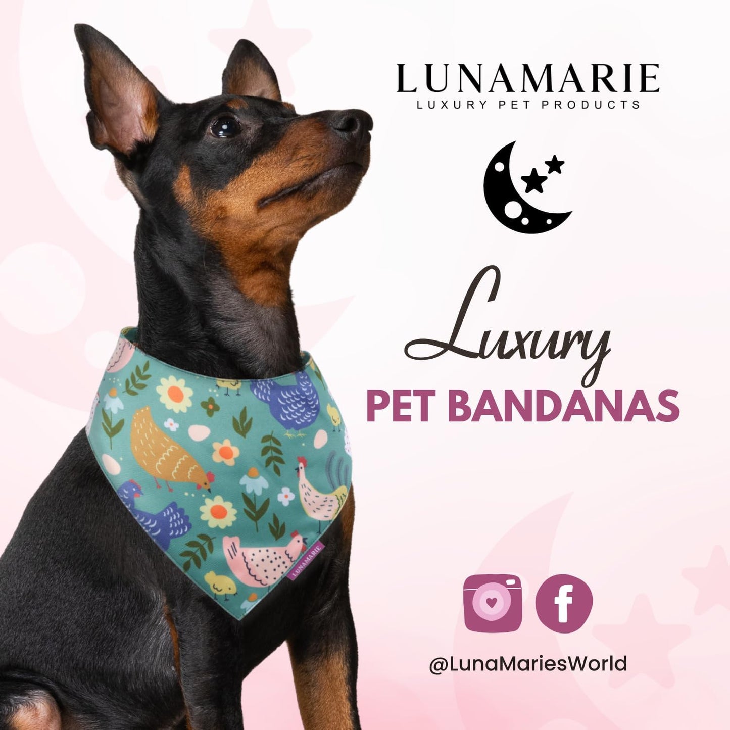 LunaMarie - Luxury Pet Birthday Bandanas -Premium & Silky Poly Fabric | 100% Handmade | Custom Shape Dual Layered (Chicken Couture, X-Small)