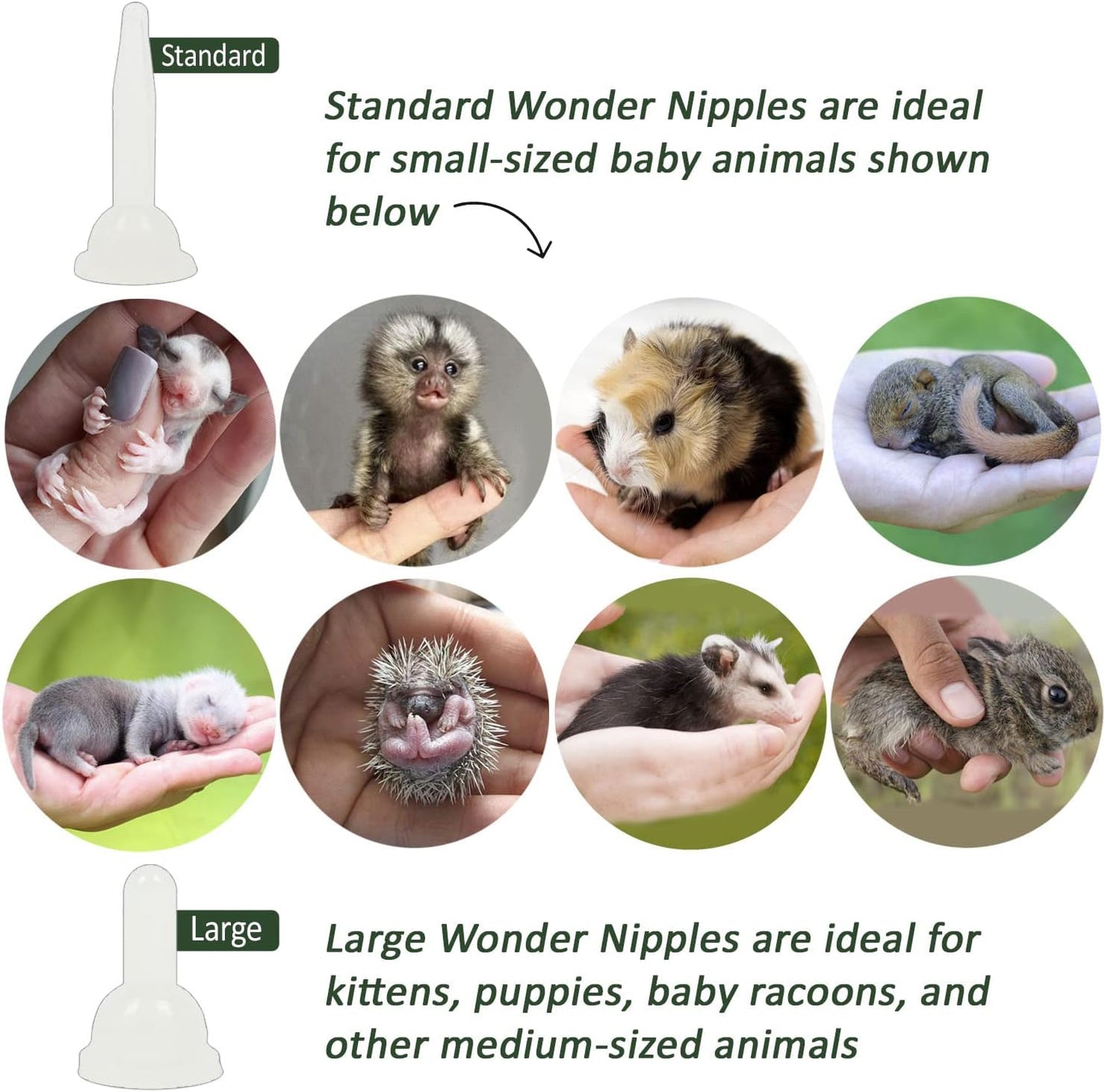 Wonder Nipple - Nursing Nipple for Baby Animals - Handfeeding Baby Squirrels, Sugar Gliders, Hedgehogs, Guinea Pigs, Racoons, Prairie Dogs, Opossums, and More! (Standard)