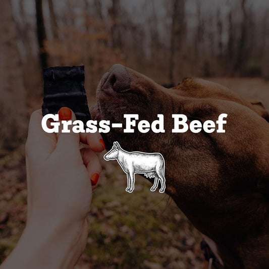 Farm Hounds - Beef Trainers - Premium Natural Beef Jerky for Dogs - Made from 100% Humanely Raised Cattle - Easy-Break - Great for Training & Treats - No Added Fillers - Made in USA - 4.5 oz - 1 Pack