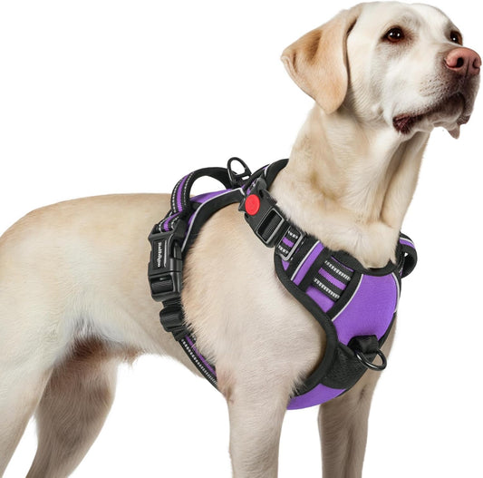 rabbitgoo Dog Harness for Large, No Pull Pet Harness with 3 Buckles, Adjustable Soft Padded Vest with Control Handle, Walking Reflective Pet Vest for Large Dogs, Purple, L