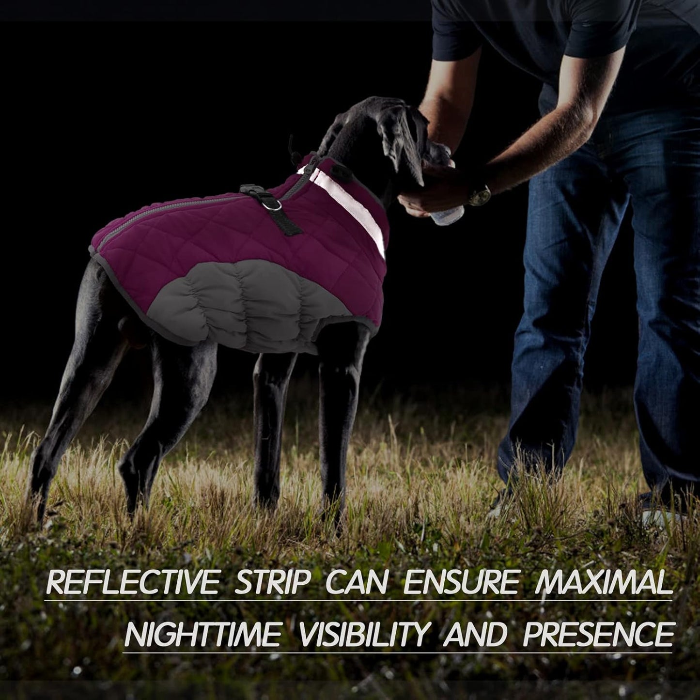 FUAMEY Dog Coat for Small Dogs,Waterproof Dog Winter Jacket with Harness Built in Puppy Cold Weather Coats Reflective Pet Vest with Zipper Warm Fleece Dogs Snowsuit Windproof Pink S