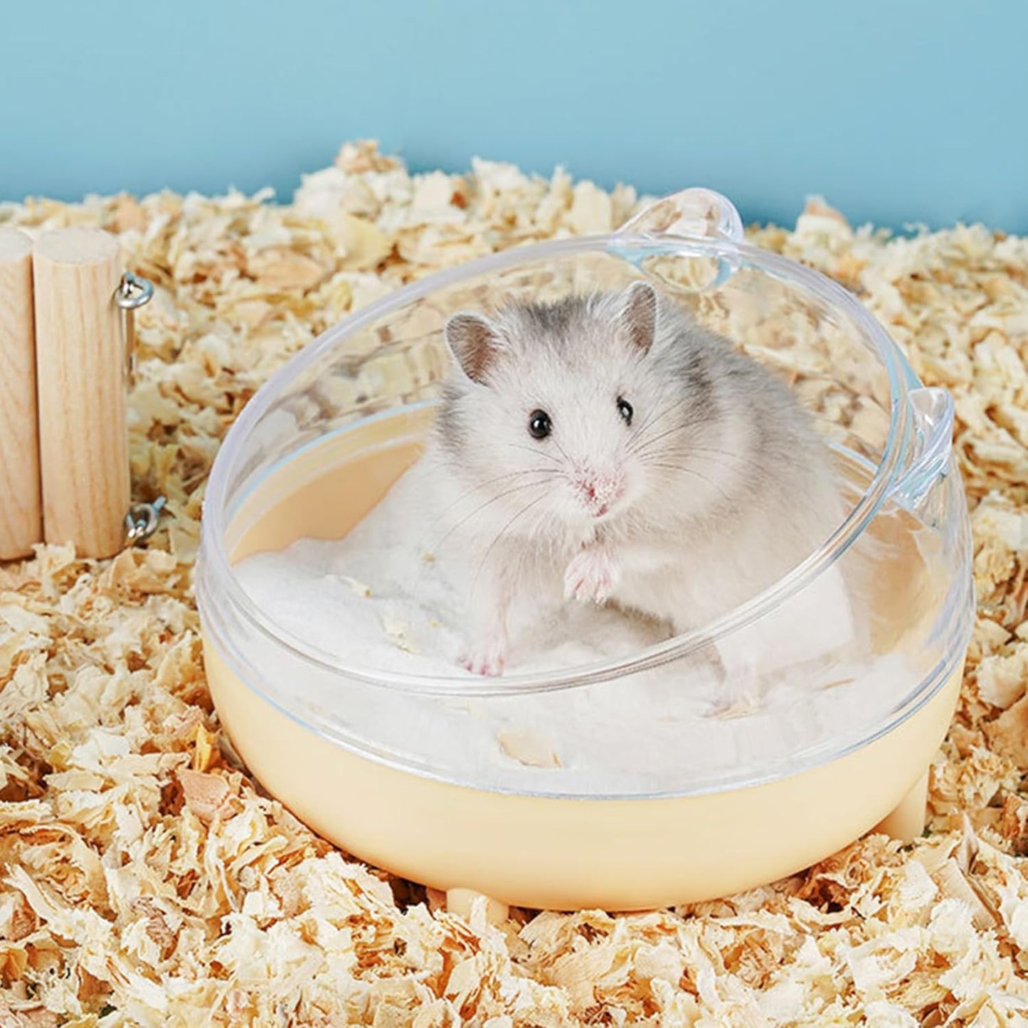 Meow&Woof Hamster Sand Bath Container, Large Sandbox Toilet Gerbil Batheoom, Tiny Chinchilla Dust Bathtub Sand Bath Box for Hamster Cage Accessories 6.5 Inch-White