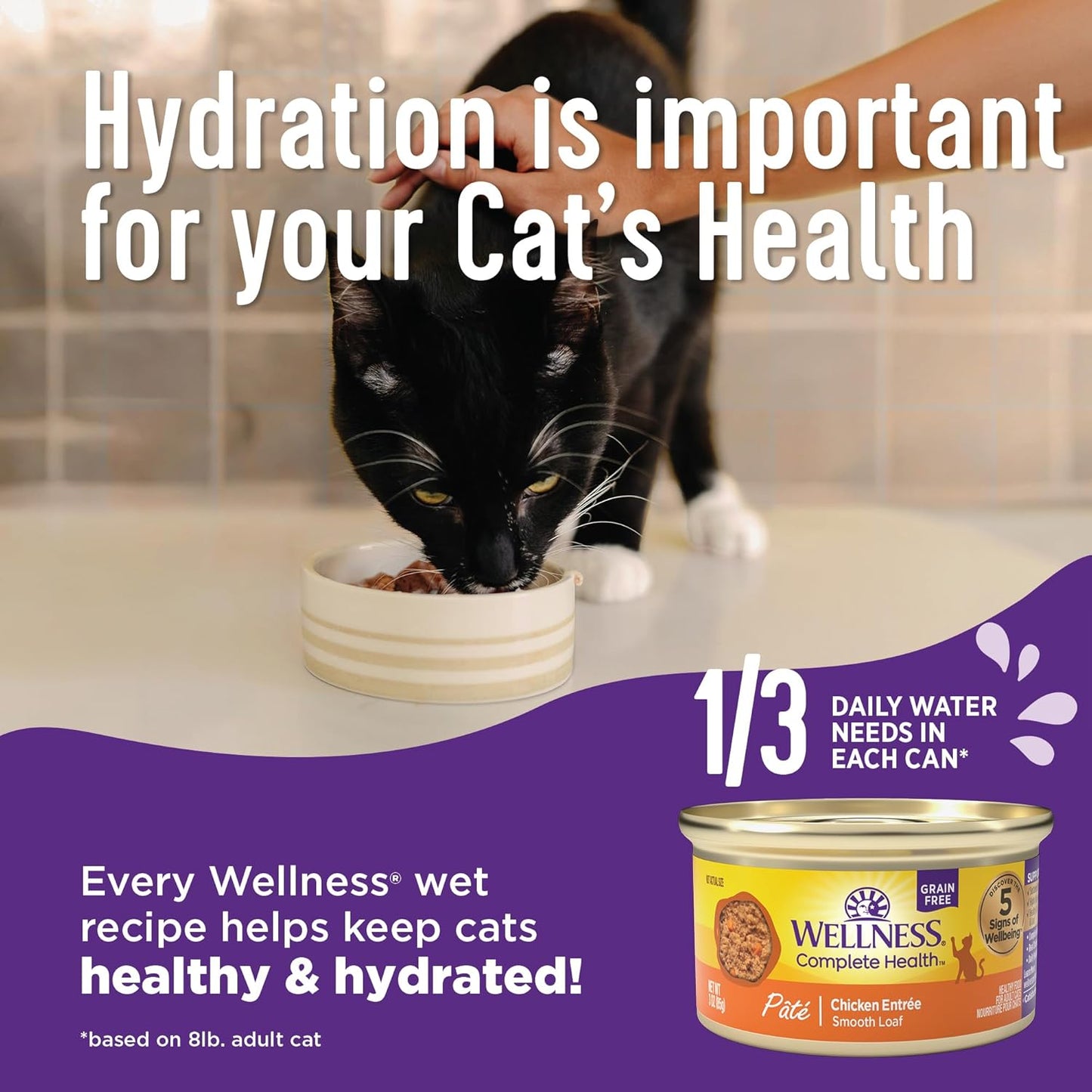 Wellness Complete Health Cubed Adult Wet Cat Food, Natural, Protein-Rich, Grain Free, 3 Ounce, 24 Pack, (Tuna Entrée)