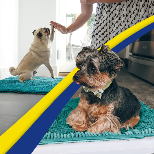 Muddy Mat® AS-SEEN-ON-TV Highly Absorbent Microfiber Door Mat and Pet Rug, Non Slip Thick Washable Area and Bath Mat Soft Chenille for Kitchen Bathroom Bedroom Indoor and Outdoor - Teal 48" x 60"