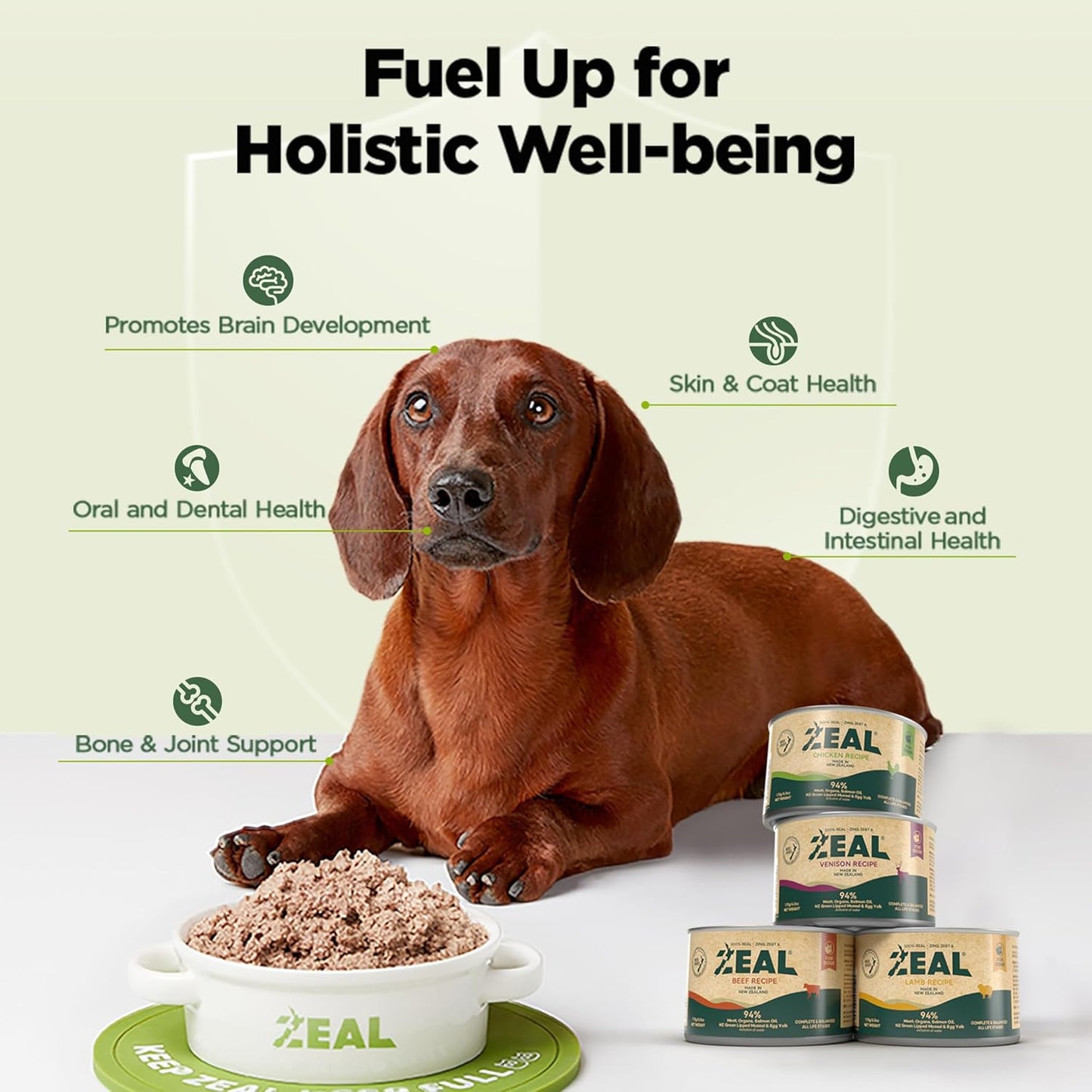 ZEAL New Zealand Canned Wet Dog Food – High Protein, Pure Nutrition, Grain-Free with Superfoods (Lamb, 6oz Can, 12-Pack Tray)