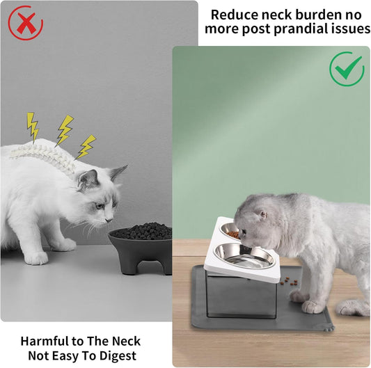Upgraded Elevated Cat Bowls with Food Mat,15°Tilted Stand Anti Vomiting Raised Cat Dishes for Food and Water,2 Stainless Steel Bowls for Cats and Puppy（White）
