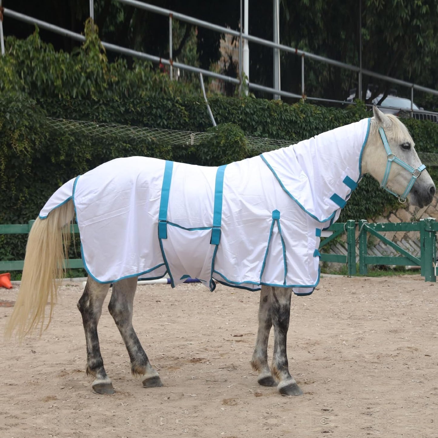 Horse Fly Sheet with Detachable Neck Cover & Belly Wrap, Adjustable Fly Sheet for Horses, Ventilated Airflow Mesh Equine Cooling Summer Flysheet White 81