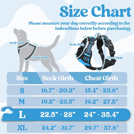 rabbitgoo Dog Harness for Large, No Pull Pet Harness with 3 Buckles, Adjustable Soft Padded Vest with Control Handle, Walking Reflective Pet Vest for Large Dogs, Sky Blue, L