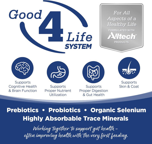 NutriSource Dry Dog Food, Trout and Rice, 4LB