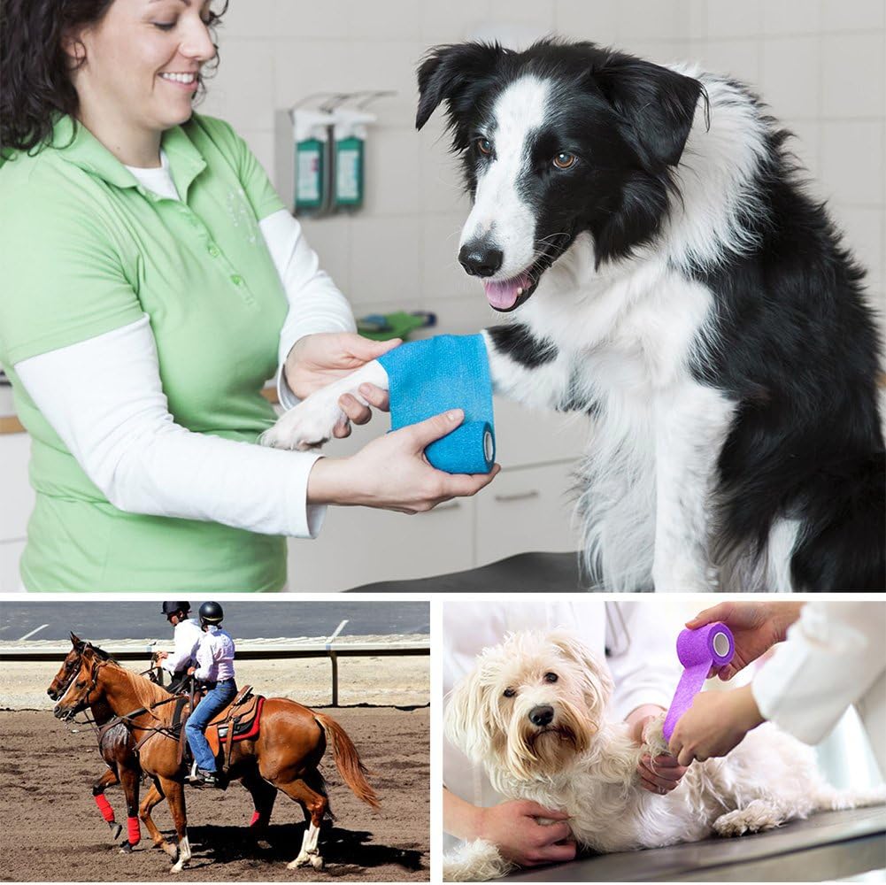 LotFancy Vet Wrap, 4 Inch x 5 Yards, 10 Pack Self Adhesive Bandage Wrap, Non-Woven Cohesive Bandage, First Aid Tape for Horses Dogs Cats Elbow Ankle, Assorted Color