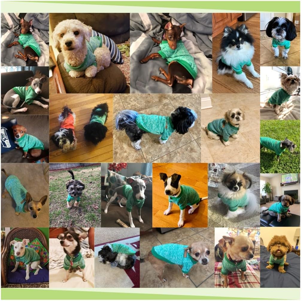 Jecikelon Dog Clothes Dogs Sweater Soft Puppies Clothing Winter Puppy Sweaters Warm Outfit for Dogs Small XXS XS Cat Apparel (Green, XS)