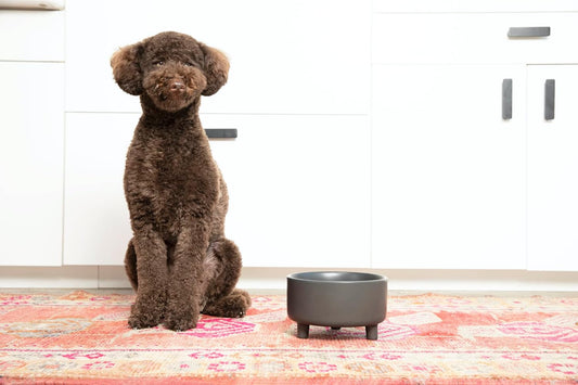 Waggo Uplift Ceramic Dog Bowl for Small Medium and Large Breeds - Heavyweight and Durable Pet Food and Water Dish Crock, Dishwasher Safe, Modern, Elevated Feeder (Black, Medium)