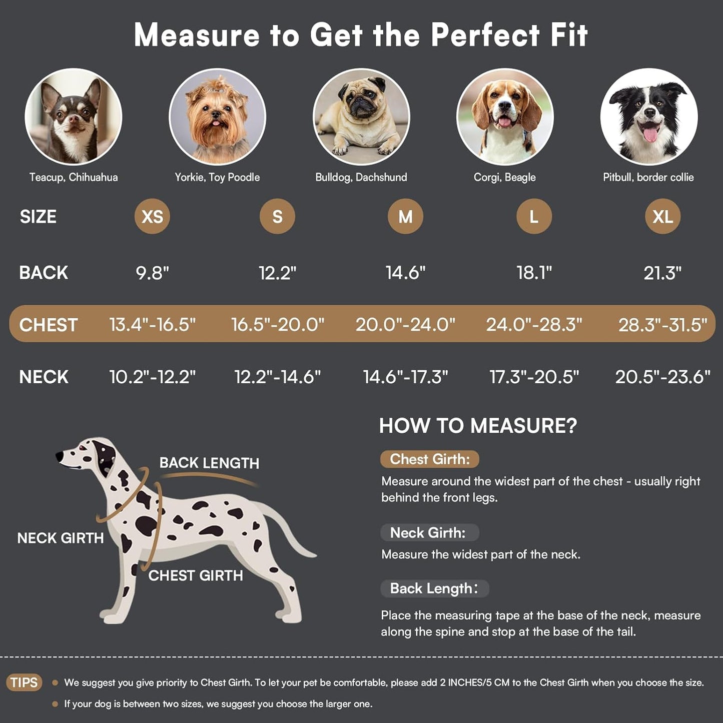 Queenmore Dog Winter Coat - Fleece Jacket, Waterproof Cold Weather Clothes, Thick Warm Cotton Padding, Easy On Storage Pockets (Grey, X-Large)