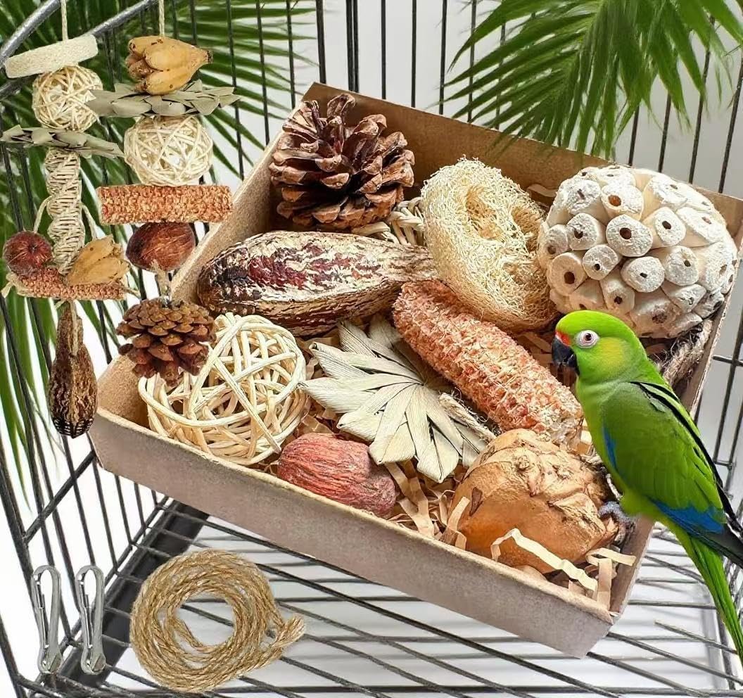 Parrot Toys, Tyotrbs Bird Toys Parakeet Toys for Birds Budgie Shredder Hanging Set Cockatiel ChewToys Parrot Climbing CageToy Lovebird Cage Accessories for Small or Medium Parrots