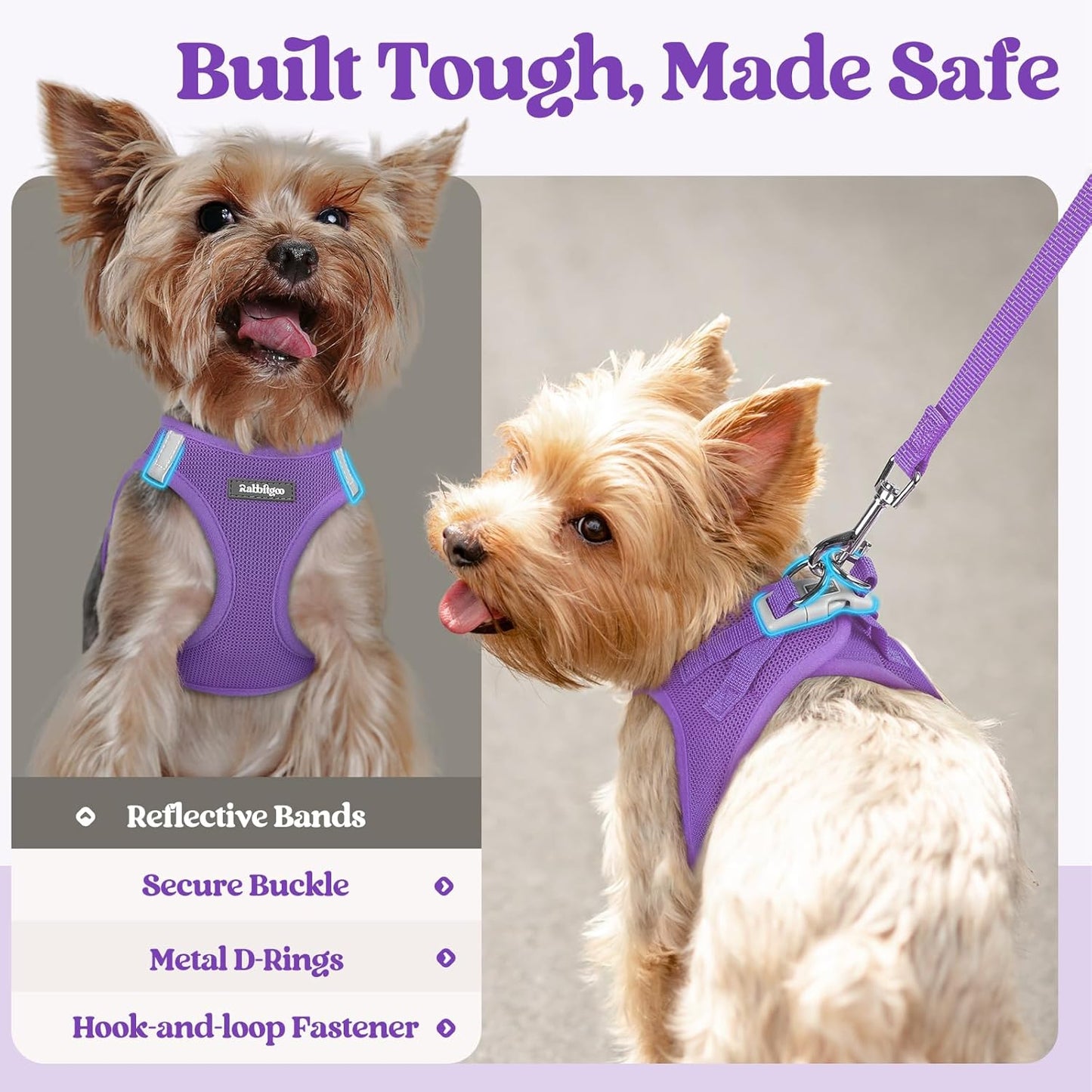 rabbitgoo Dog Harness Small Sized and Leash Set, Step in Soft Light Puppy Vest, Breathable Mesh Pet Harness, Reflective for Safe Outdoor Walking, Purple S