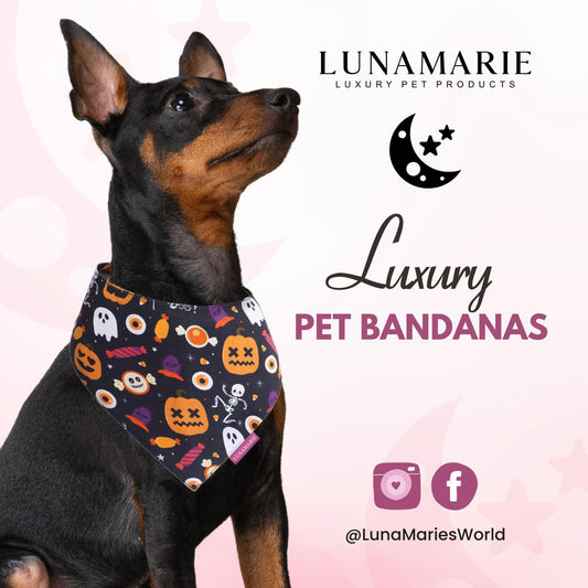 LunaMarie - Luxury Cat and Dog Bandanas - Halloween Designs | Premium Silky Poly Fabric | 100% Handmade Custom Shape Dual Layered Small, Medium, Large Cat Scarf (Trick-Or-Treat, Large)