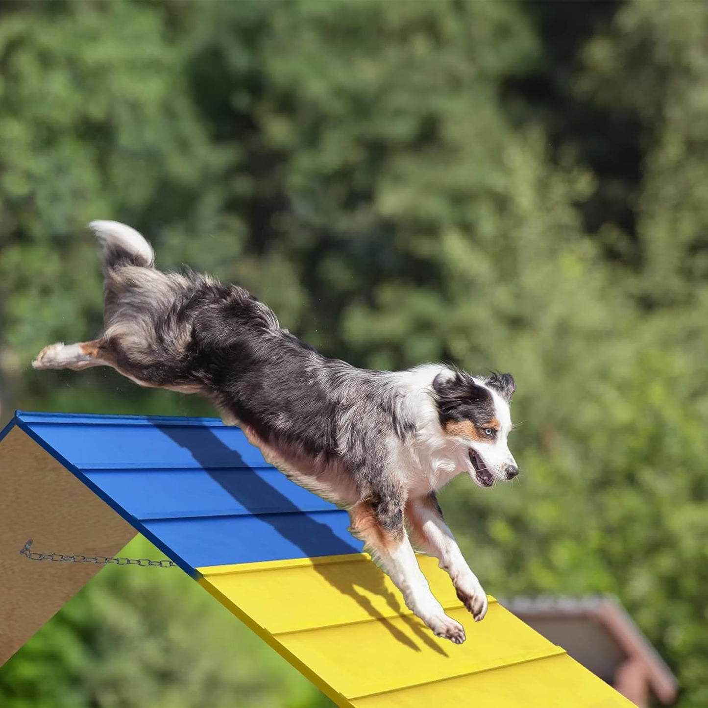 Dogs Agility Course Backyard Set, Dog Agility Equipment, Non-Slip Dog Agility A-Frame, 84” x 24” Large Size