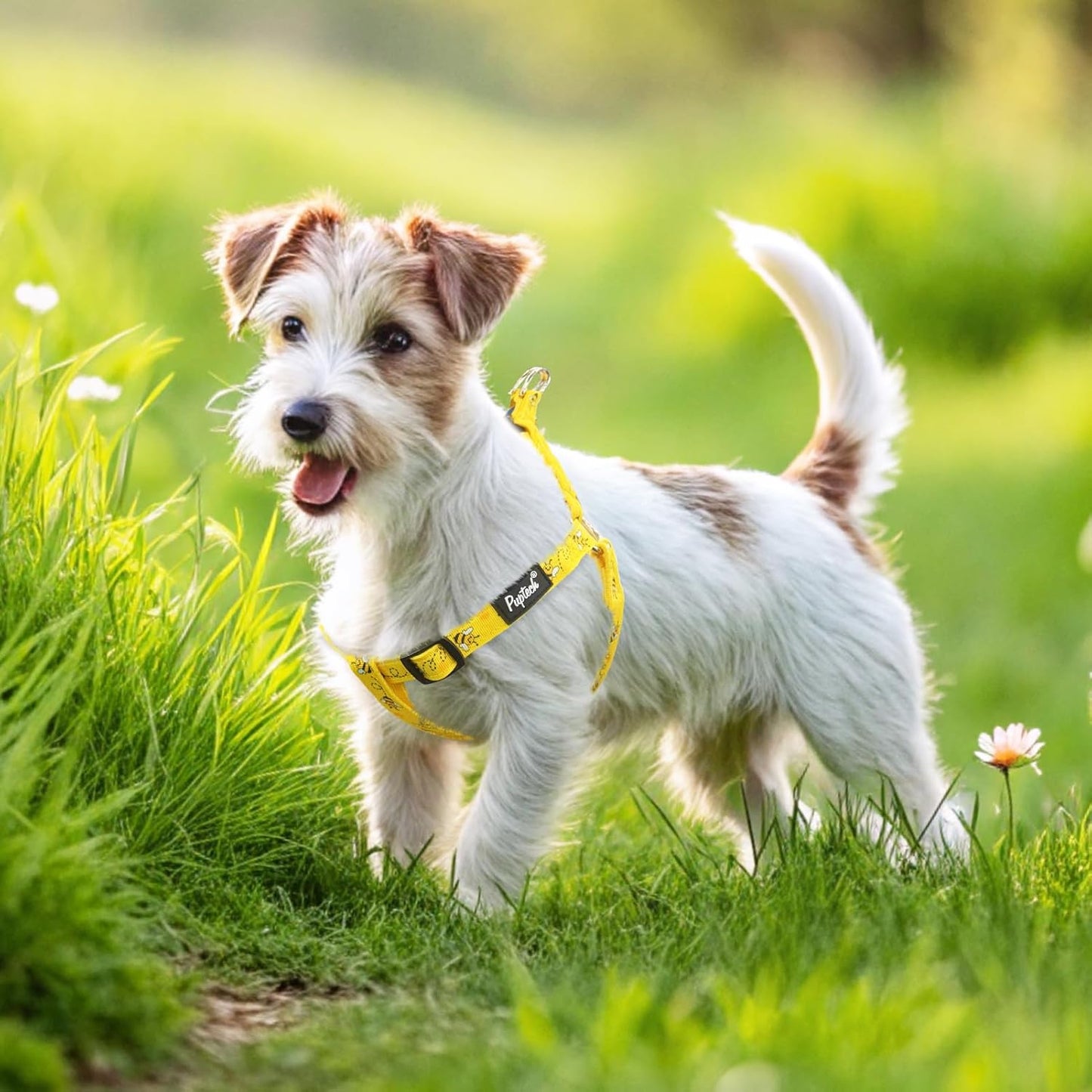 PUPTECK No Pull Dog Harness Soft Adjustable Basic Nylon Step in Puppy Vest Outdoor Walking with ID Tag, Yellow Bee, M