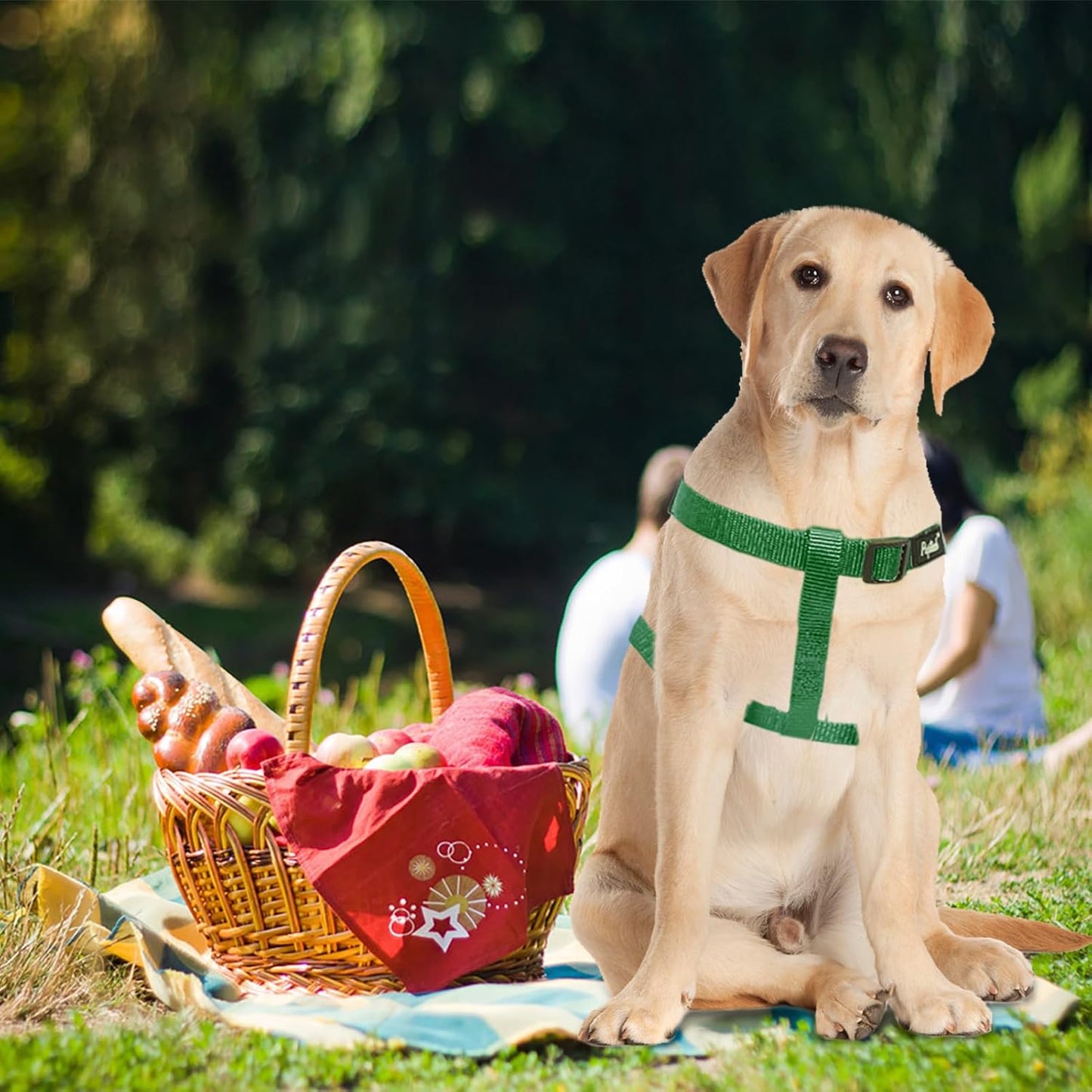 PUPTECK No Pull Dog Harness Soft Adjustable Basic Nylon Step in Puppy Vest Outdoor Walking with ID Tag, Blackish Green, L