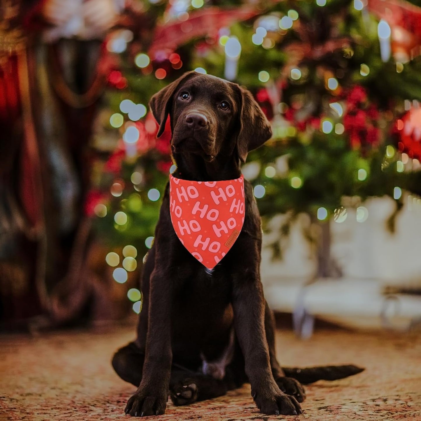PTDECOR Christmas Dog Bandana, Xmas HOHO Santa Design Reversible Holiday Dog Scarf, Triangle Christmas Bandanas for Medium Large Pets (Large)