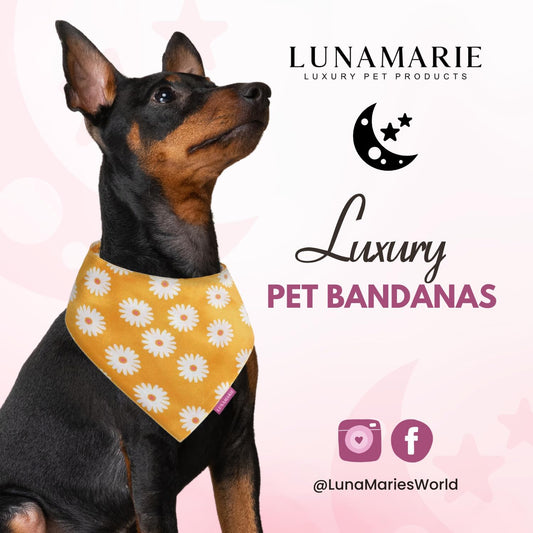 LunaMarie - Luxury Pet Birthday Bandanas -Premium & Silky Poly Fabric | 100% Handmade | Custom Shape Dual Layered (Daisies, X-Small)