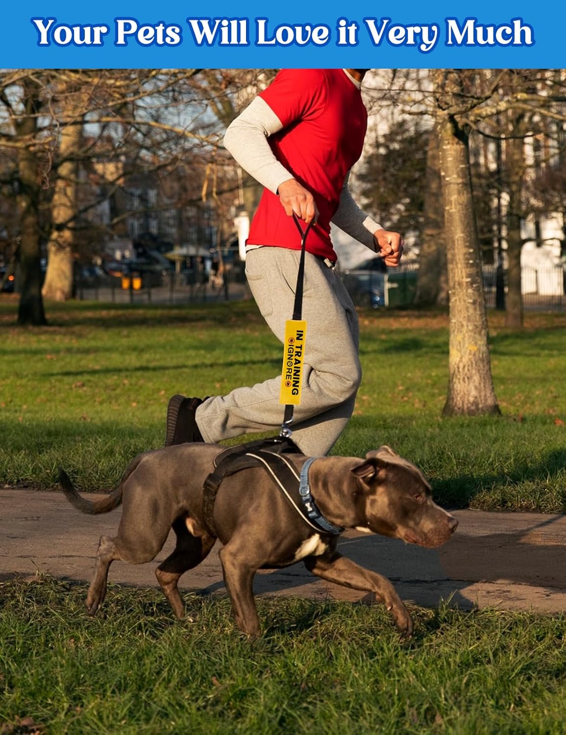 Training Ignore Dog Sleeve - Funny Yellow Leash Wrap Alert Hanging ID Patch Tag, Service Dog Leash Wrap, Pet Birthday Gifts