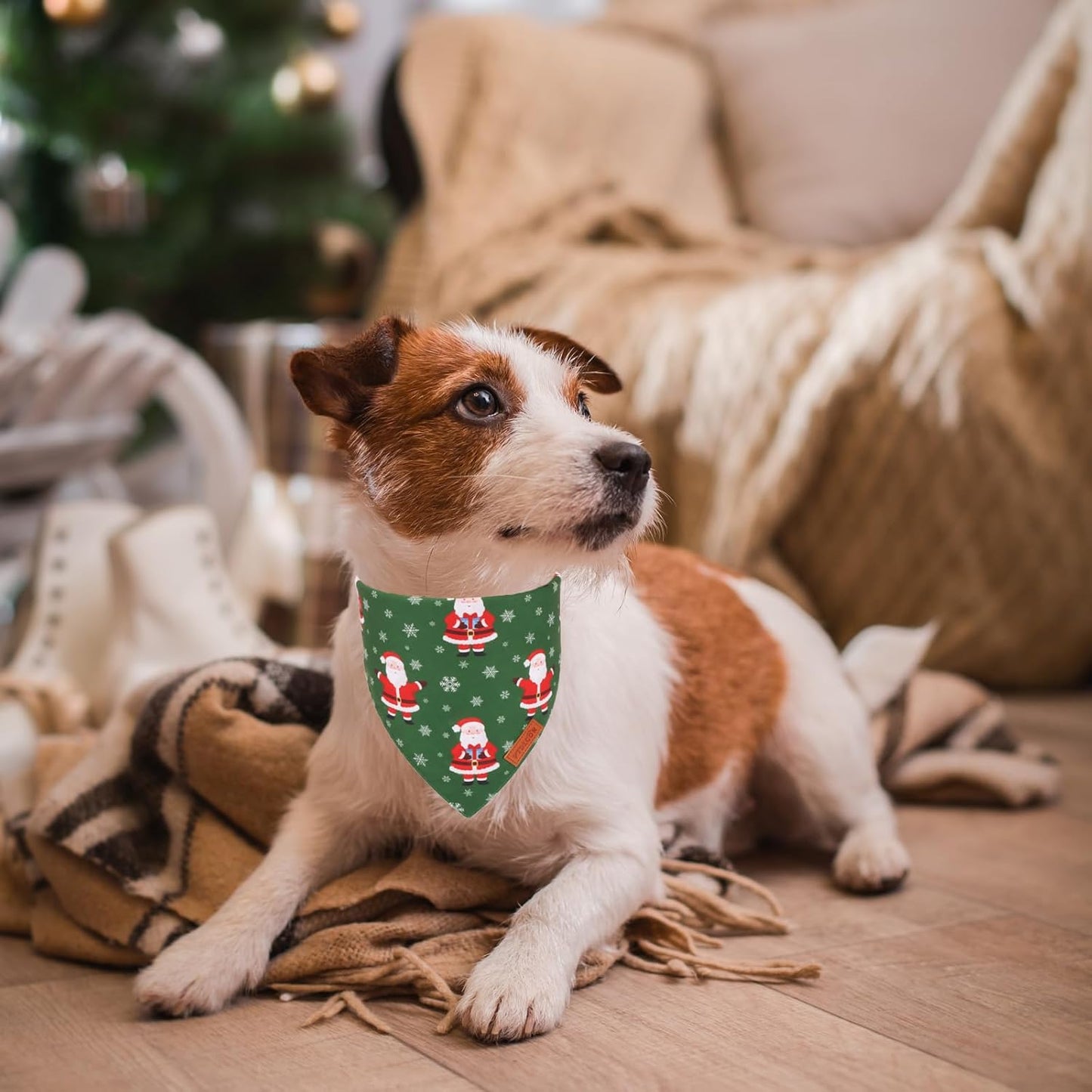 PTDECOR Christmas Dog Bandana, Xmas HOHO Santa Design Reversible Holiday Dog Scarf, Triangle Christmas Bandanas for Medium Large Pets (Large)