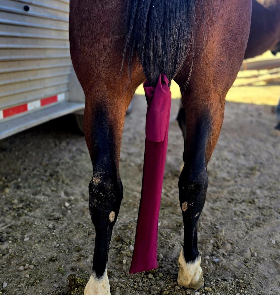 Ranch Hand Premium Tail Bag – Horse Tail Bag Made from Durable Stretchable – Gentle on Hair and Free from Damage – Horse Tail Protection Bag for Grooming – 24 Inches- Maroon
