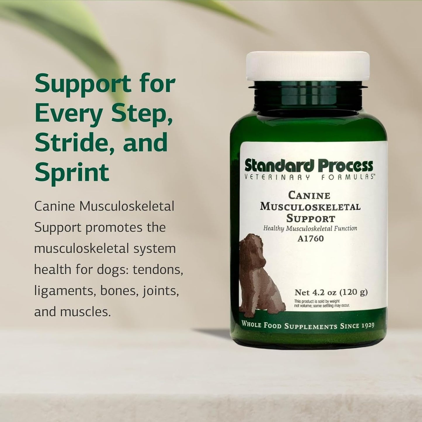 Standard Process Canine Musculoskeletal Support - Bone & Joint Health Formula for Pets - Canine Musculoskeletal Support Supplement - Supplement for Dogs to Aid Joint Comfort & Muscle Health - 120 g