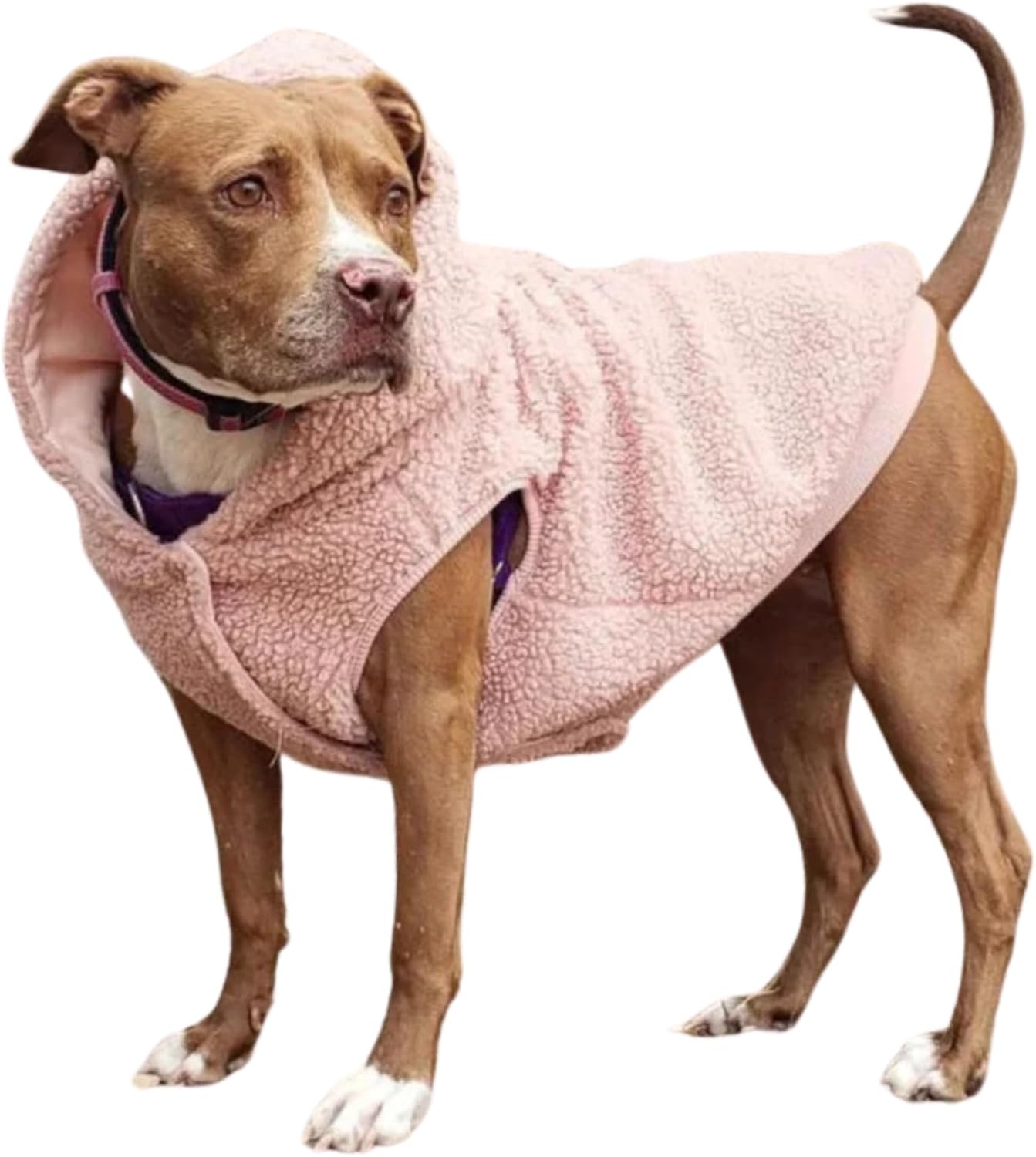 Spark Paws Teddy Dog Sweater, Sherpa Jacket Vest with Warm Fleece Lining, Winter Coat Suitable for Small Medium Large XL XXL Breeds - Pink - 3XL