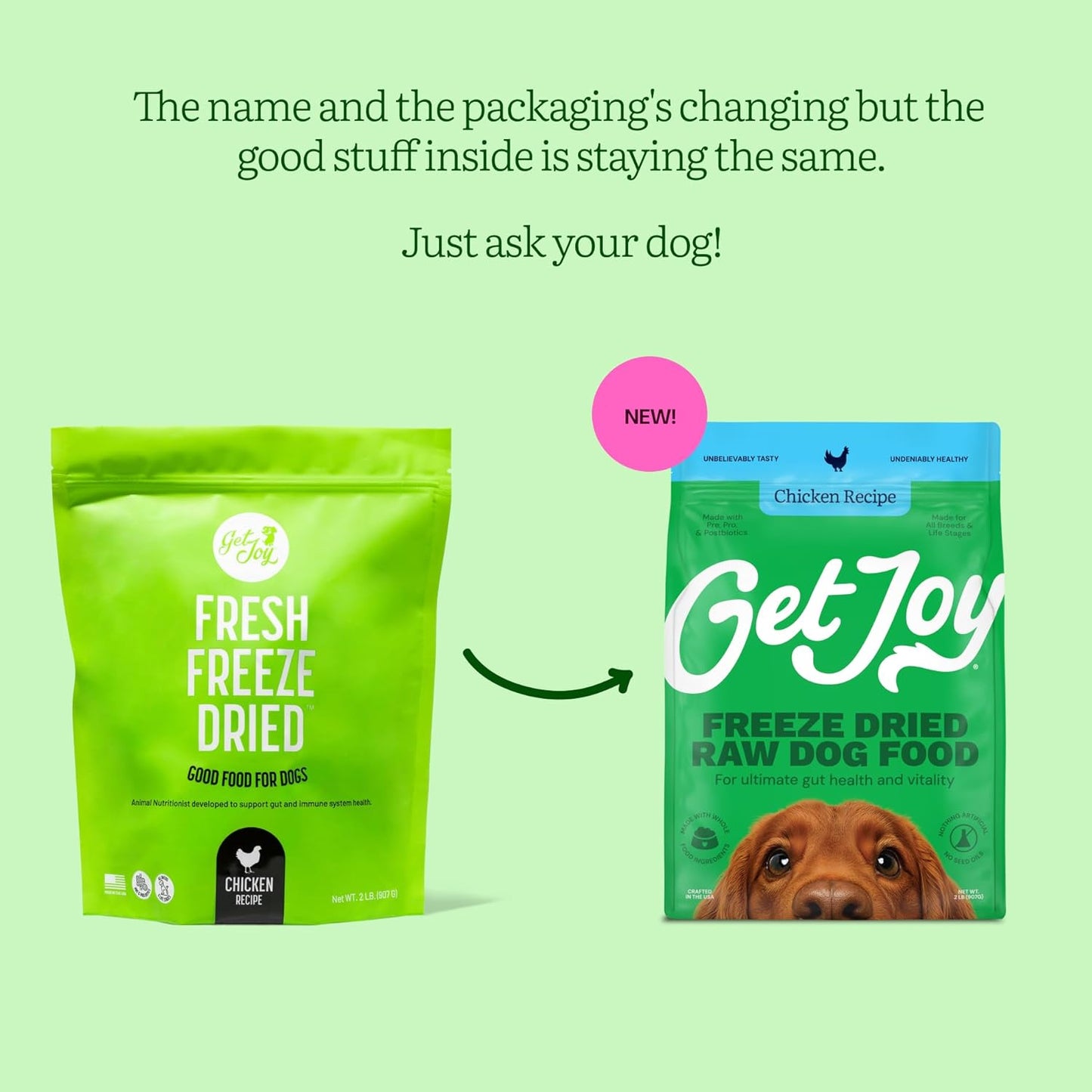 Get Joy Gut Health Fresh Freeze Dried Raw Meal, Chicken Recipe, 32 Ounce Bag, Dog Food for Dogs of All Breeds and Life Stages, PhD Animal Nutritionist Formulated, Made in USA